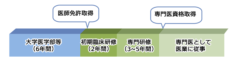 大学進学後の進路の一例